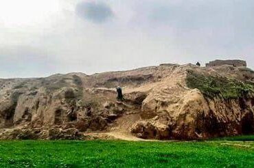 telegram-cloud-photo-size-2-5312017772650894310-x