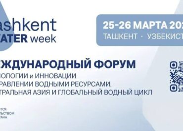 telegram-cloud-photo-size-2-5339171346170188694-y