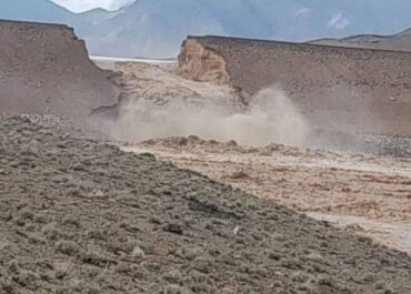 telegram-cloud-photo-size-2-5343666952863421295-x