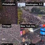 Массовые протесты в США против политики Трампа