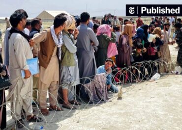 telegram-cloud-photo-size-2-5361546936076408863-y