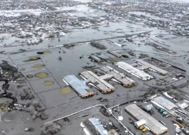 telegram-cloud-photo-size-2-5368382960643543758-y