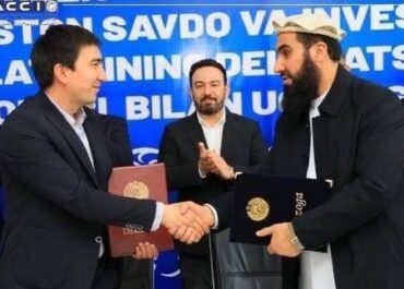 telegram-cloud-photo-size-2-5375461298675585730-x