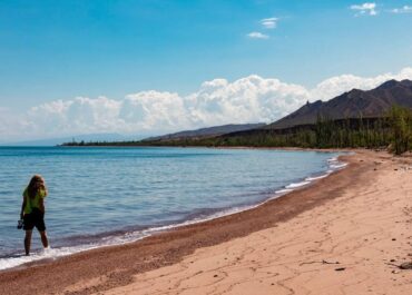 telegram-cloud-photo-size-2-5375461298675585772-y