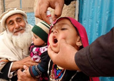 telegram-cloud-photo-size-2-5377772923088737714-y