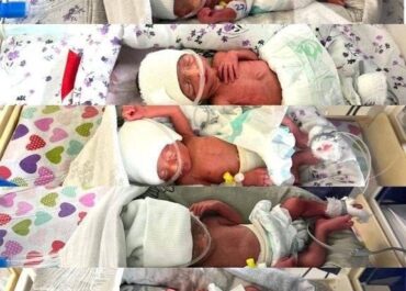 telegram-cloud-photo-size-2-5377772923088737716-x