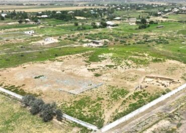 telegram-cloud-photo-size-2-5377772923088737722-y