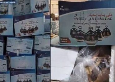 telegram-cloud-photo-size-2-5388769387986228098-x