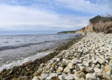 telegram-cloud-photo-size-2-5400146550194901952-x