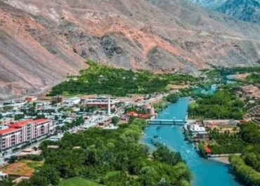 telegram-cloud-photo-size-2-5402398350008588031-x