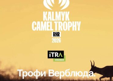 telegram-cloud-photo-size-2-5408996845704384901-y