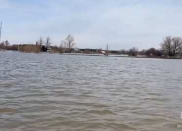 telegram-cloud-photo-size-2-5418321344258053270-x