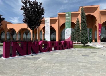 telegram-cloud-photo-size-2-5420573144071738613-y