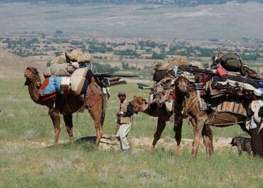 telegram-cloud-photo-size-2-5426947846201611275-y