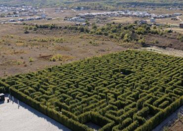 telegram-cloud-photo-size-2-5427100128562061942-x