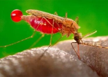 telegram-cloud-photo-size-2-5436061186983138125-x