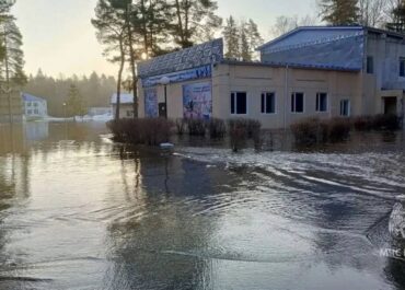 telegram-cloud-photo-size-2-5436205162876834880-y