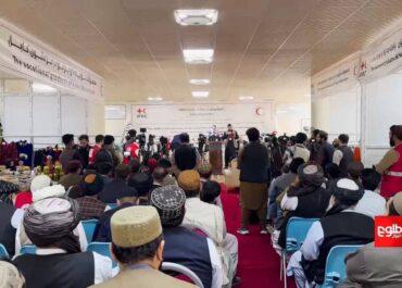 telegram-cloud-photo-size-2-5440601912307815770-y