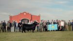 Казахстан расширяет аграрное партнерство с Бразилией и Аргентиной