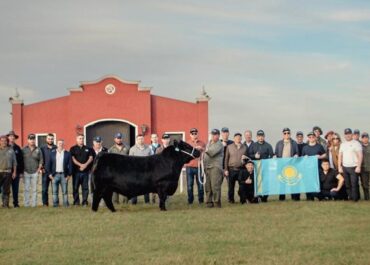 Казахстан расширяет аграрное партнерство с Бразилией и Аргентиной