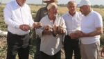 Урожайный акцент на продовольственную безопасность: в Истаравшане началась уборка картофеля и моркови