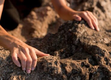 telegram-cloud-photo-size-2-5467604706705217621-y