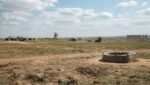 Школьники и студенты устроили масштабный бой с бронетехникой и авиацией