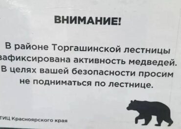 telegram-cloud-photo-size-2-5314692300325724671-y