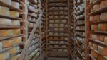 Сочи увеличивает производство сыра и развивает агротуризм