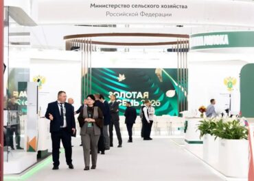 telegram-cloud-photo-size-2-5348518663885102638-y