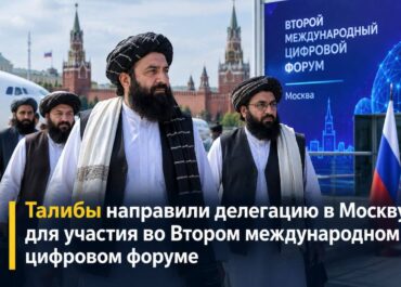 telegram-cloud-photo-size-2-5352596387440304250-y